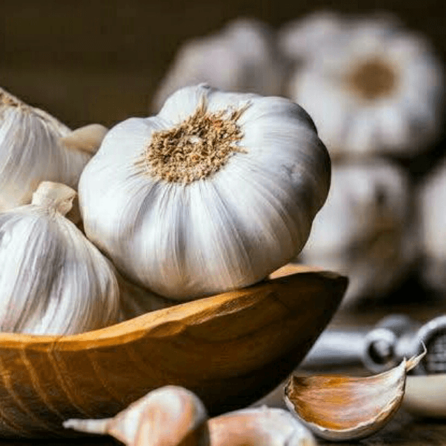 Garlic (Lehsan)