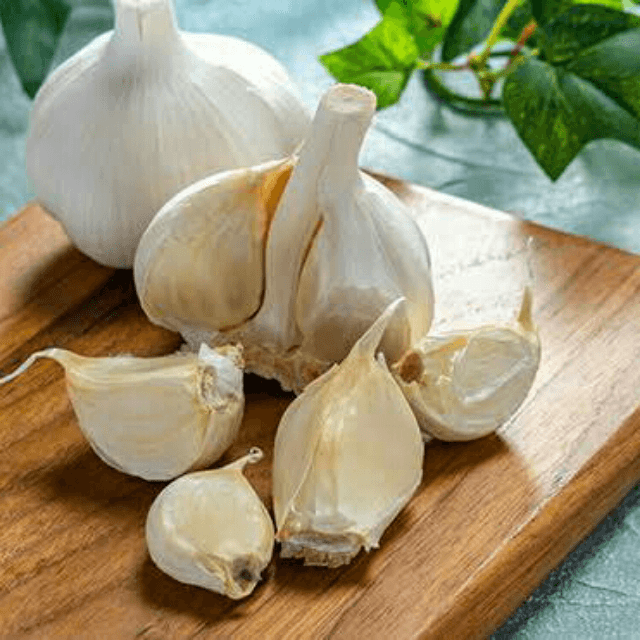 Garlic (Lehsan)
