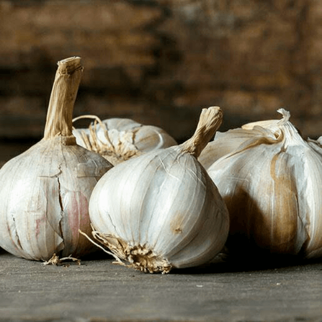 Garlic (Lehsan)