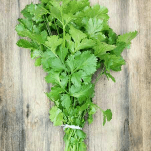 Coriander Leaves (Dhaniya)