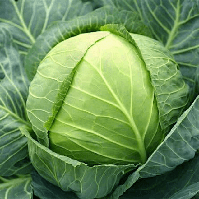 Cabbage (Band Gobhi)